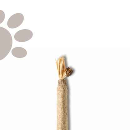 Meowra Natural Silvervine Dental Sticks