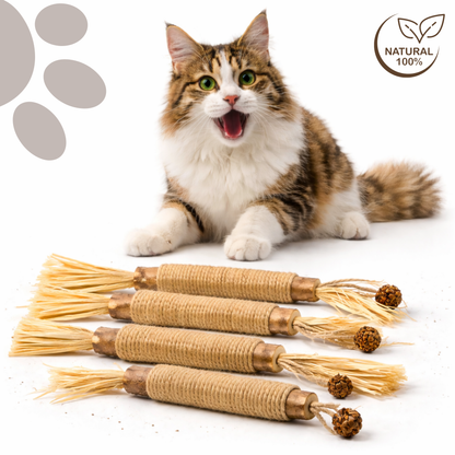 Meowra™ Natural Silvervine Dental Sticks