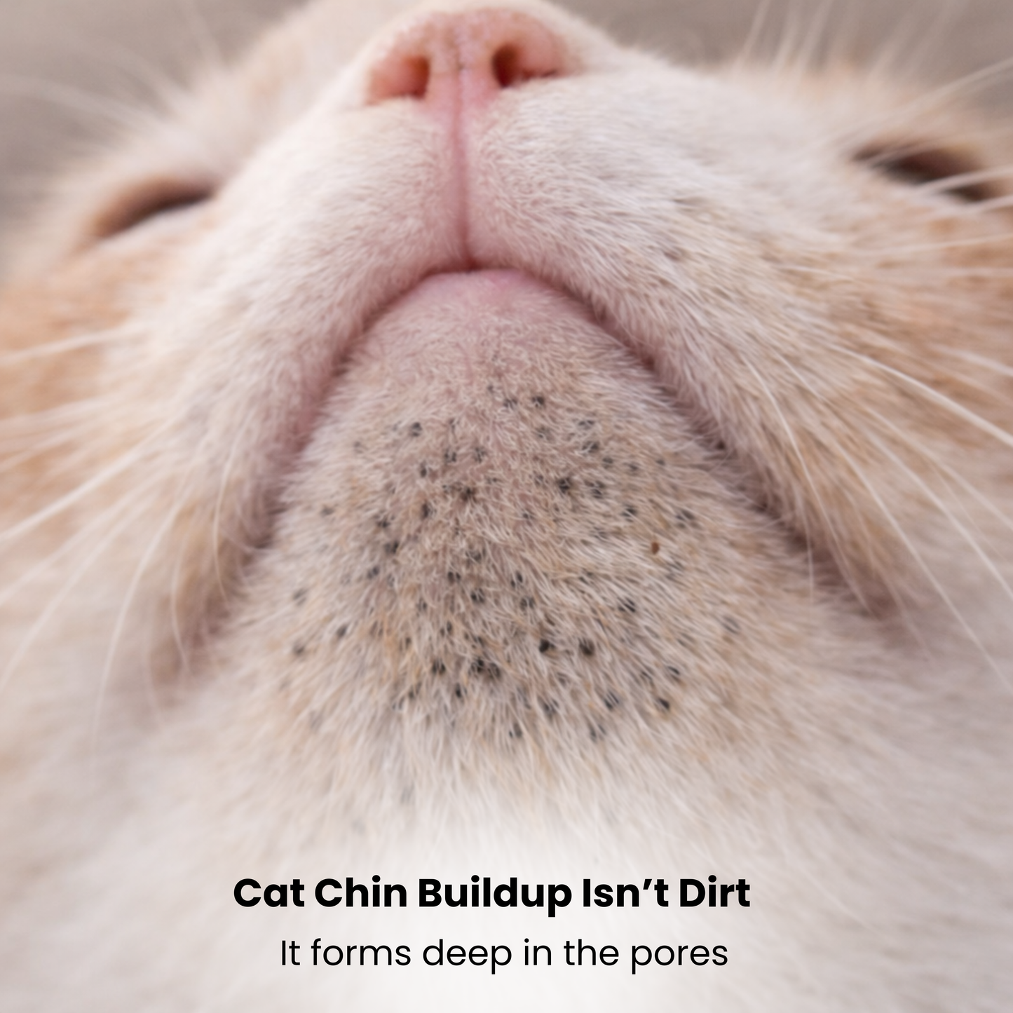 Cat Chin Blackhead Cleanser
