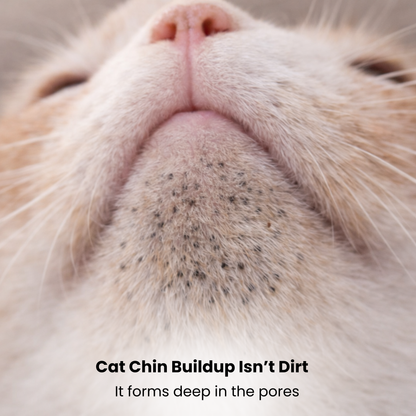 Cat Chin Blackhead Cleanser