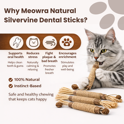 Meowra™ Natural Silvervine Dental Sticks