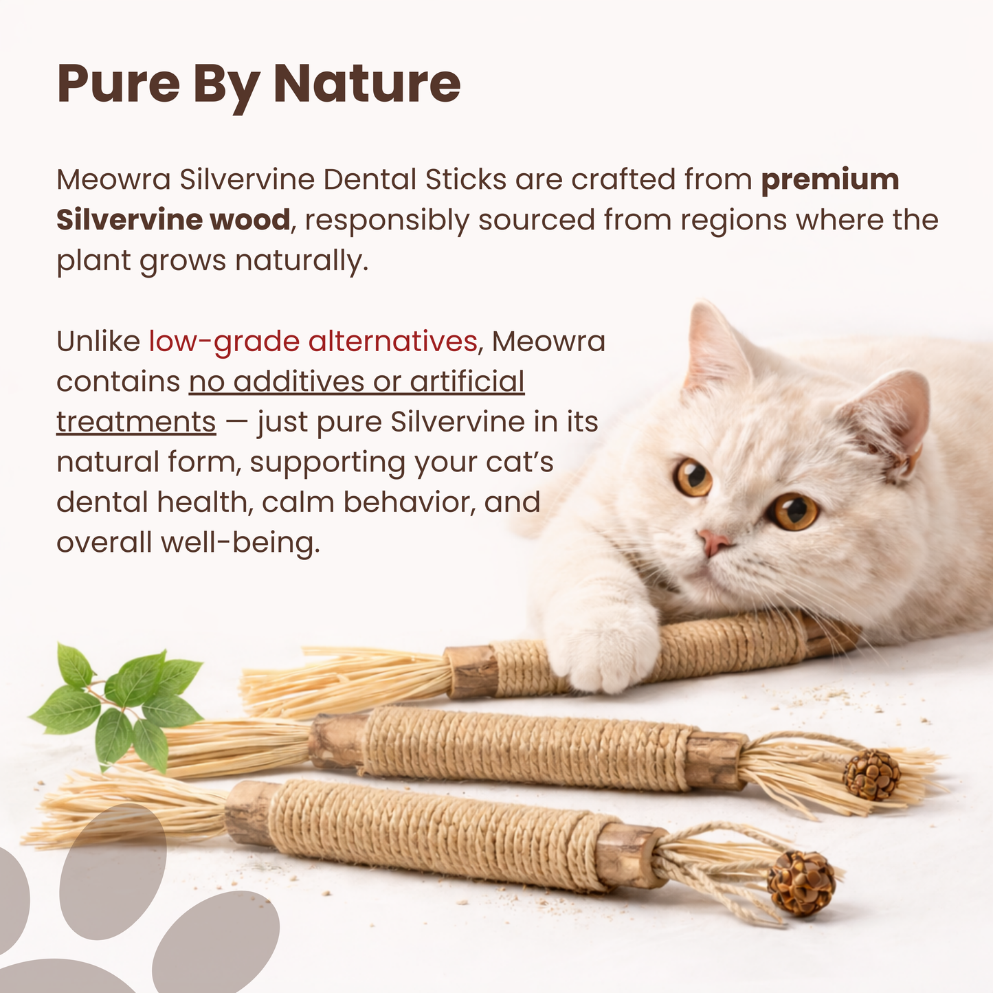 Meowra™ Natural Silvervine Dental Sticks