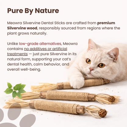 Meowra™ Natural Silvervine Dental Sticks