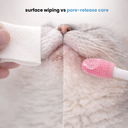 Cat Chin Blackhead Cleanser