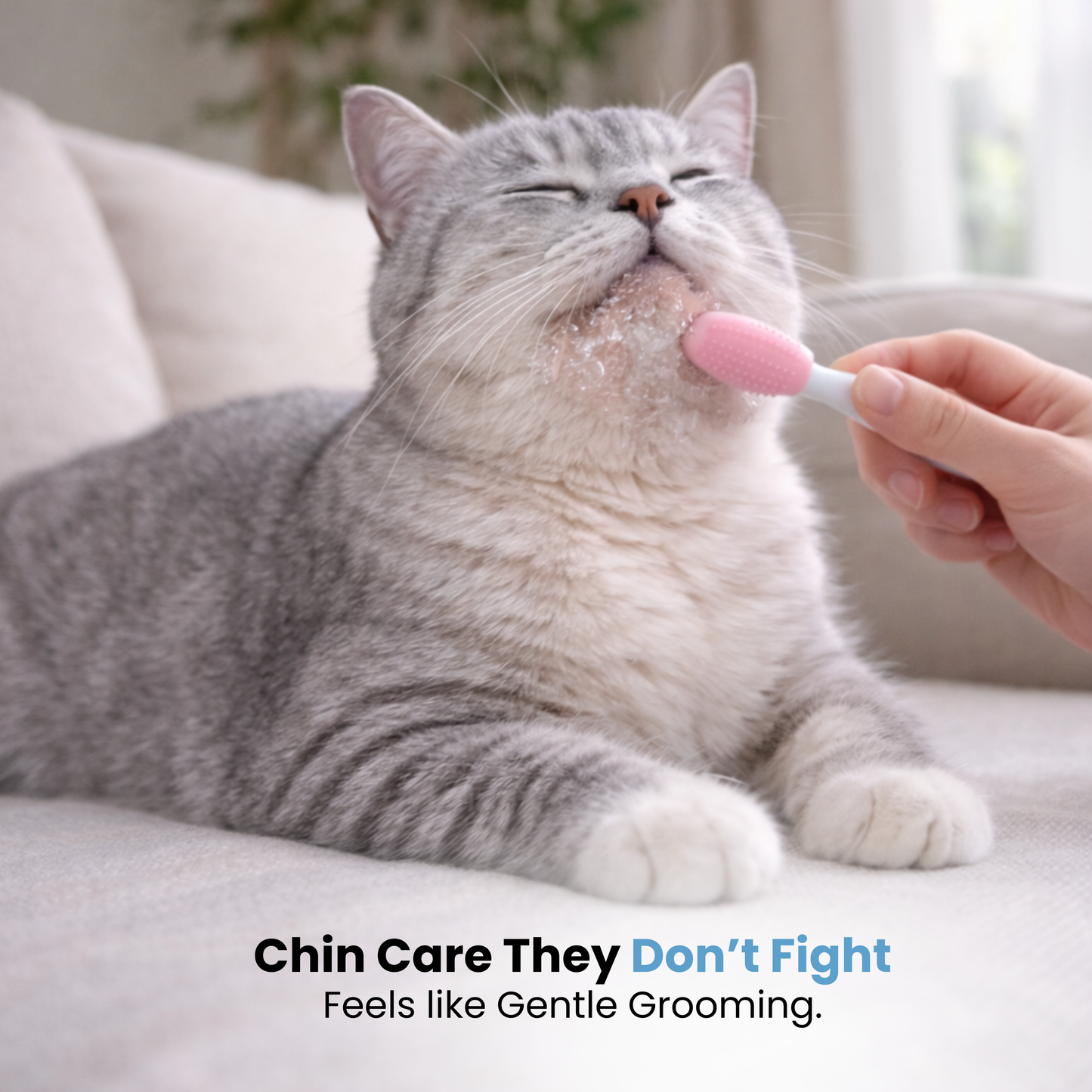 Cat Chin Blackhead Cleanser