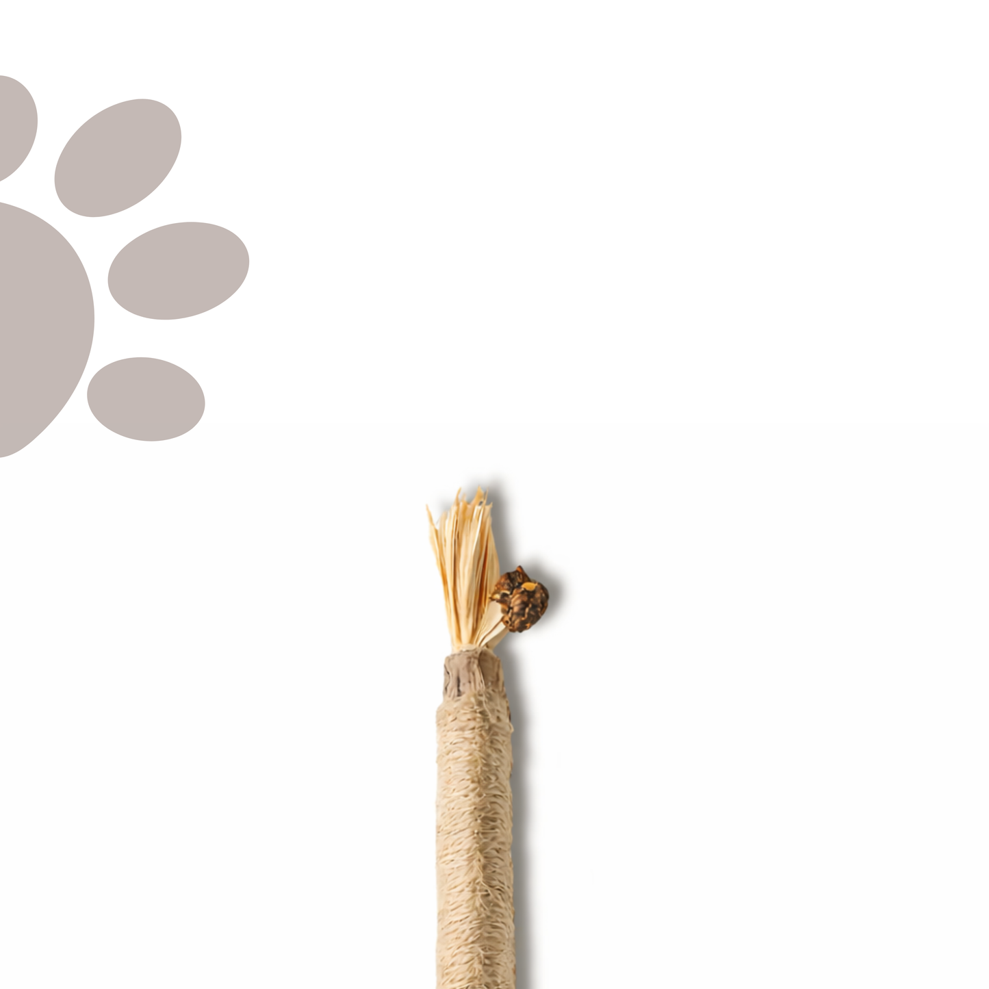 Meowra™ Natural Silvervine Dental Sticks