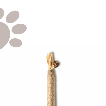 Meowra™ Natural Silvervine Dental Sticks