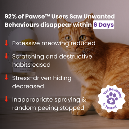 Pawse™ F3 Calm Kitty Diffuser