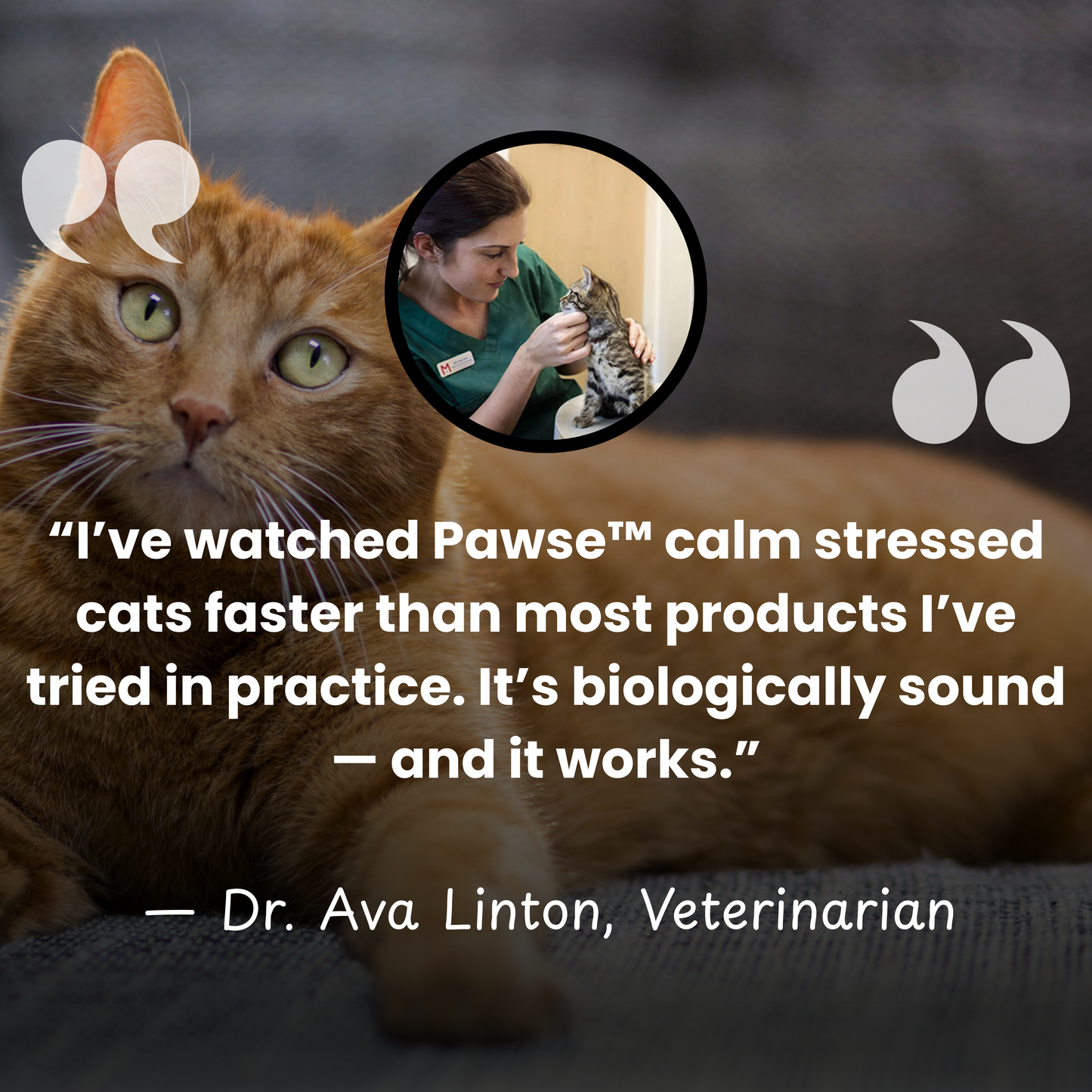 Pawse™ F3 Calm Kitty Diffuser