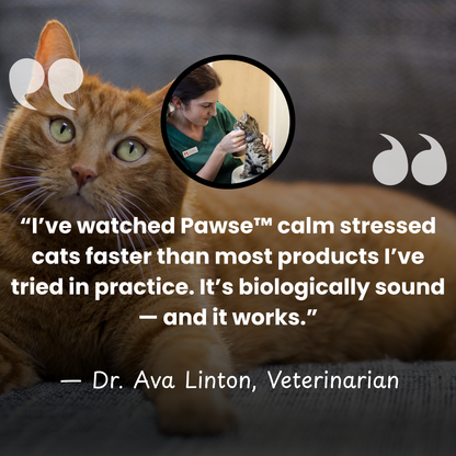 Pawse™ F3 Calm Kitty Diffuser