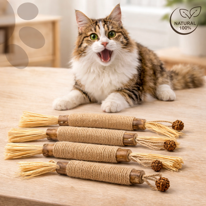 Meowra Natural Silvervine Dental Sticks