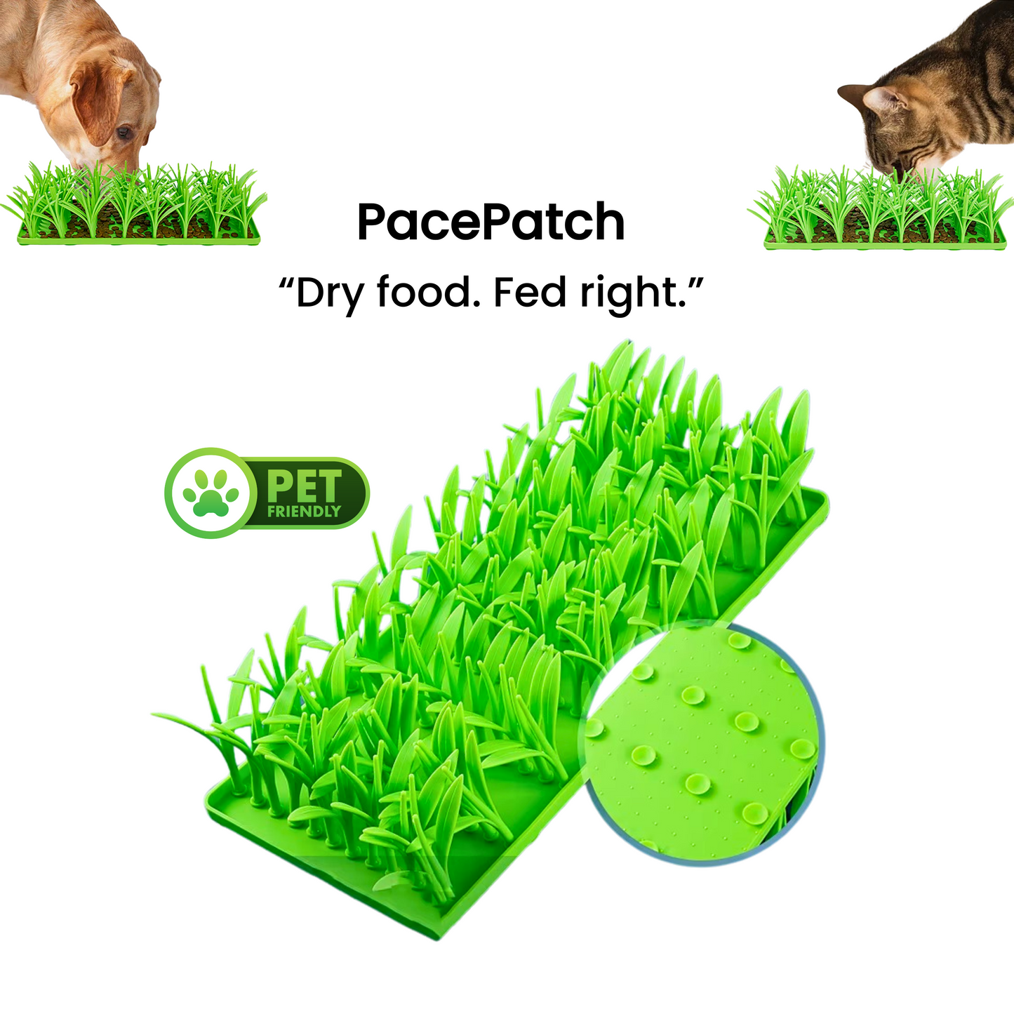 PacePatch™—The First Ever Dry Food Pace Protocol