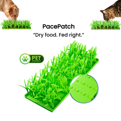 PacePatch™—The First Ever Dry Food Pace Protocol