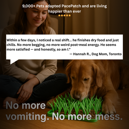 PacePatch™—The First Ever Dry Food Pace Protocol