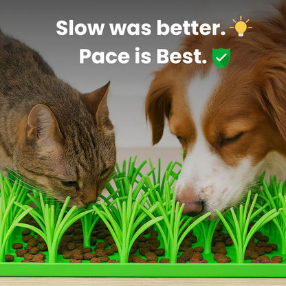 PacePatch™—The First Ever Dry Food Pace Protocol