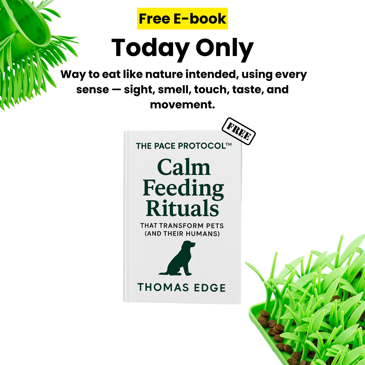 PacePatch™—The First Ever Dry Food Pace Protocol