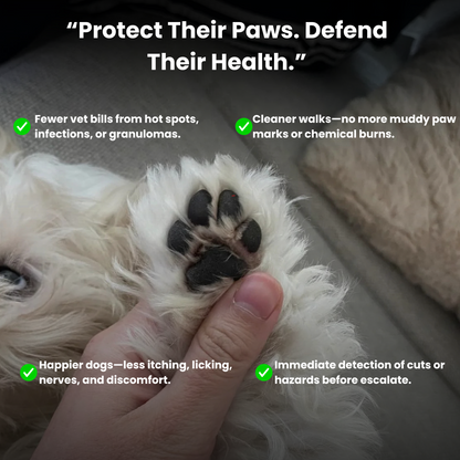LickSafe™—The Preventive Paw Hygiene