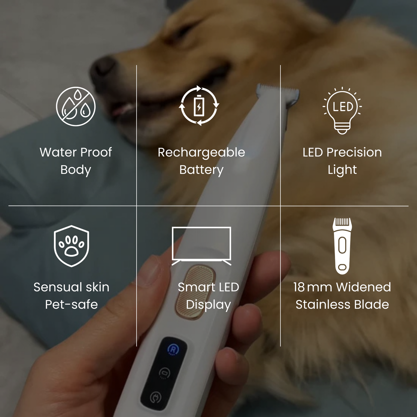 LickSafe™—The Preventive Paw Hygiene