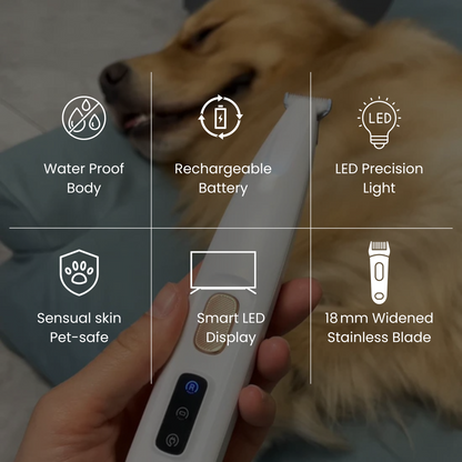 LickSafe™—The Preventive Paw Hygiene