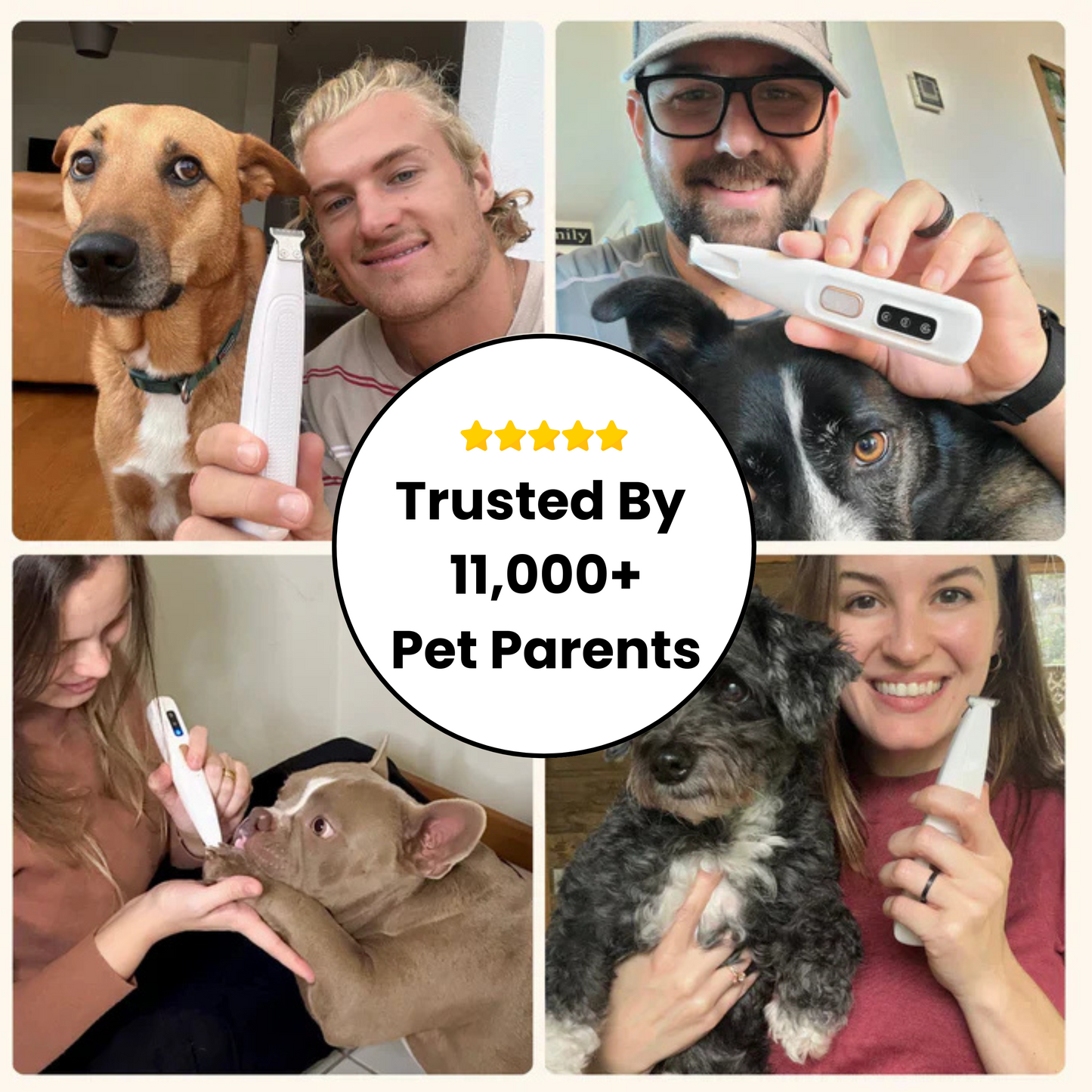 LickSafe™—The Preventive Paw Hygiene