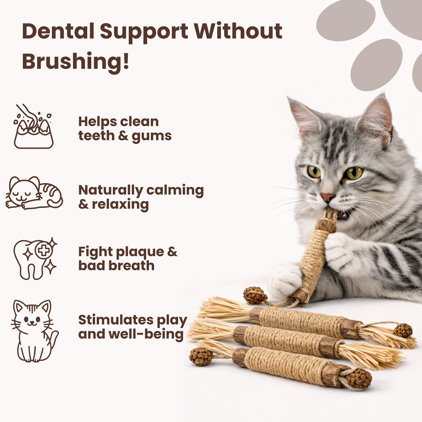 Meowra Natural Silvervine Dental Sticks