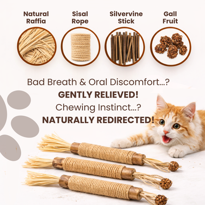 Meowra Natural Silvervine Dental Sticks