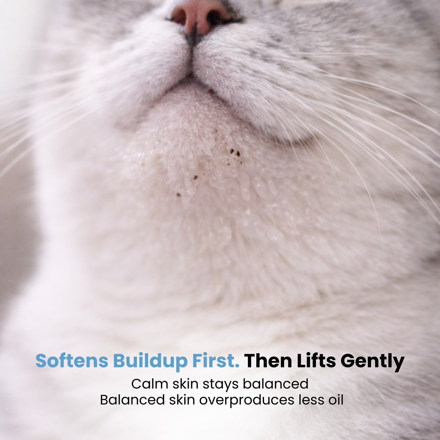 Cat Chin Blackhead Cleanser