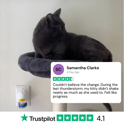 Pawse™ F3 Calm Kitty Diffuser